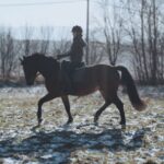 ćwiczenie ujeżdżeniowe