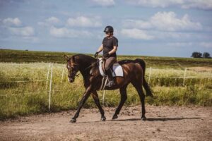 Trening koni i jeźdźców