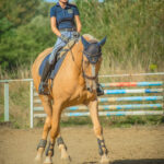 trening ujeżdżeniowy Kraków