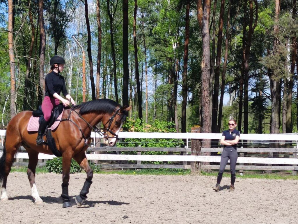 Konsultacje ujeżdżeniowe