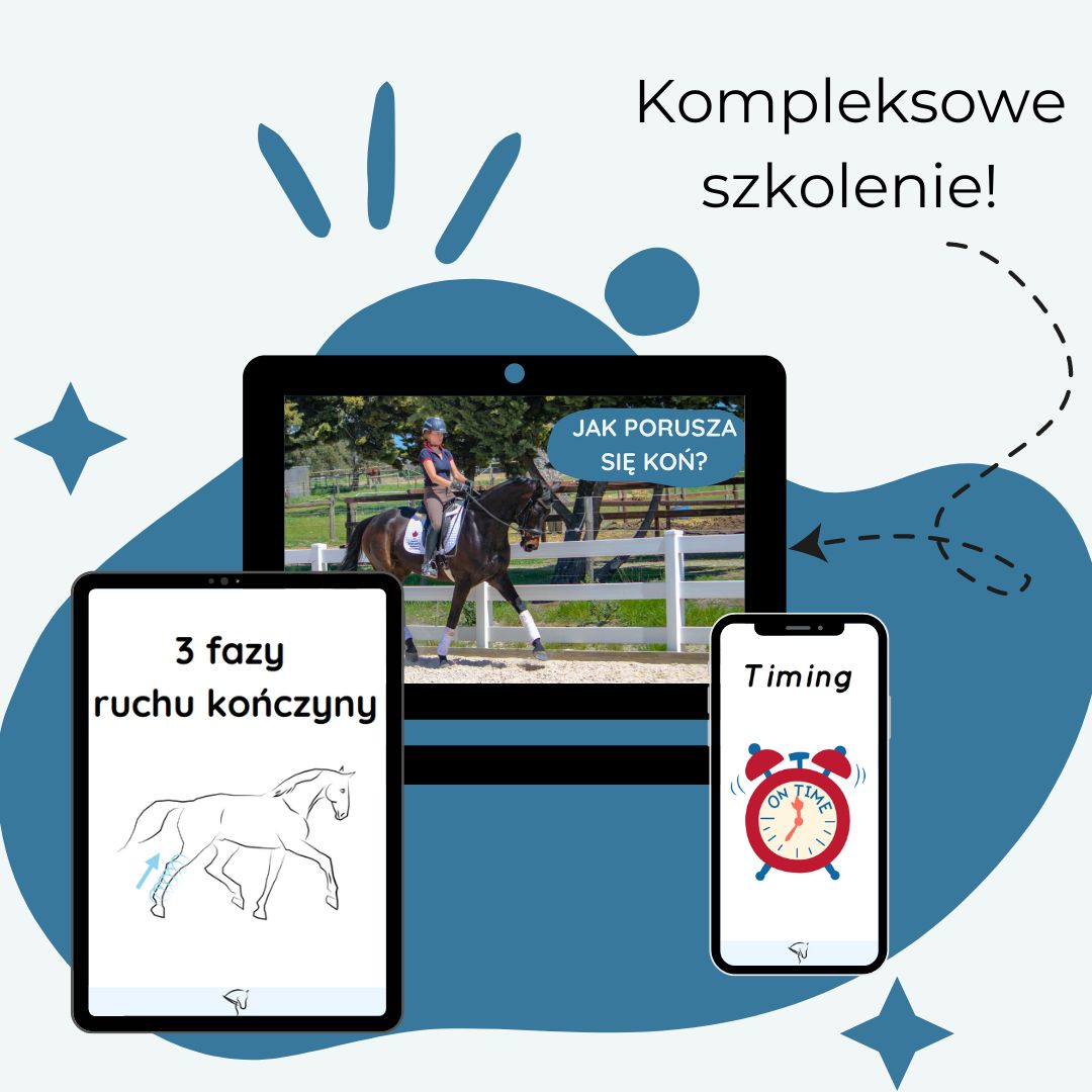 Biomechanika ruchu konia - szkolenia jeździeckie online
