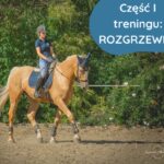 Rozgrzewka - Trening konia - jak trenować konia?