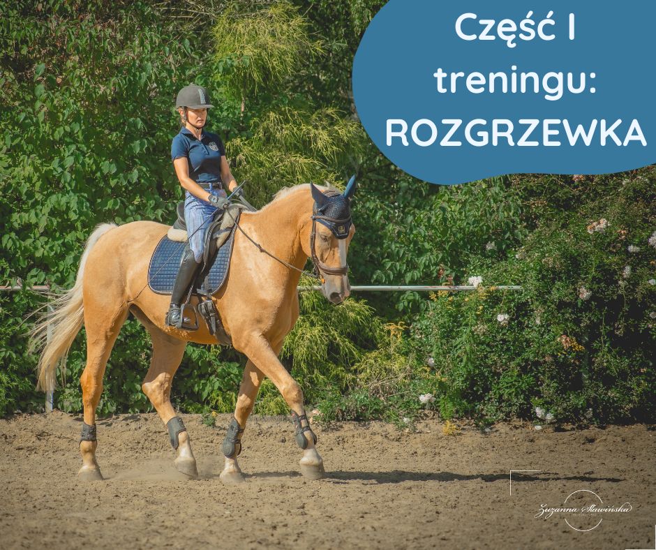 Rozgrzewka - Trening konia - jak trenować konia?