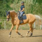 Jak poprawić dosiad? 5 sposobów na lepszy dosiad i bardziej świadomą jazdę!