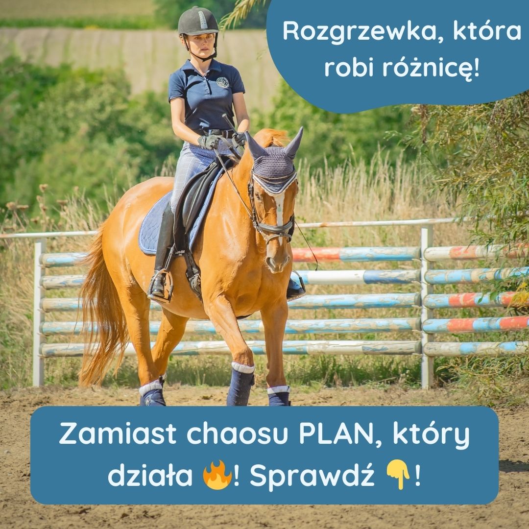 Jak powinna wyglądać jeździecka rozgrzewka?