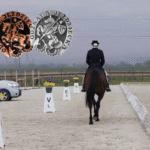 Szkolenie online - Odznaki PZJ bez stresu