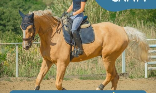 Summer Camp – 4-tygodniowy plan treningowy