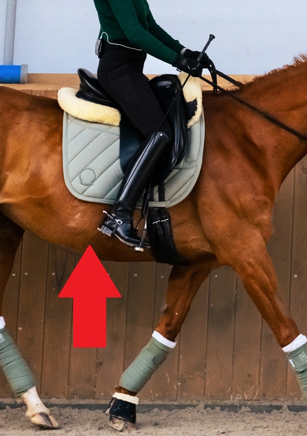 Dosiadowe SOS - jak poprawić dosiad?