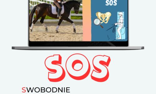 DOSIADOWE SOS – mobilizacja ciała z fizjoterapeutką!