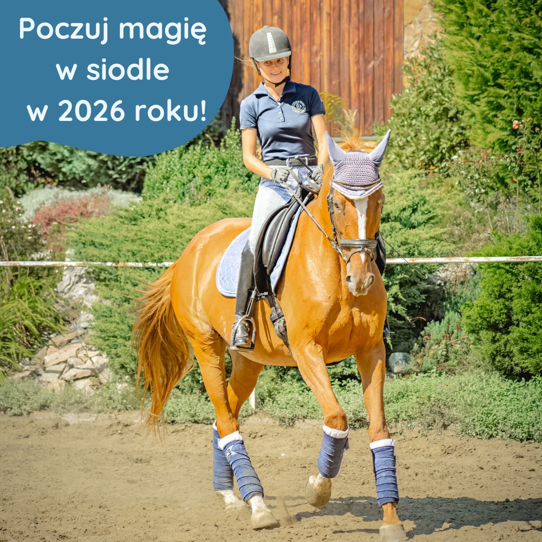 Bezpłatny webinar jeździecki