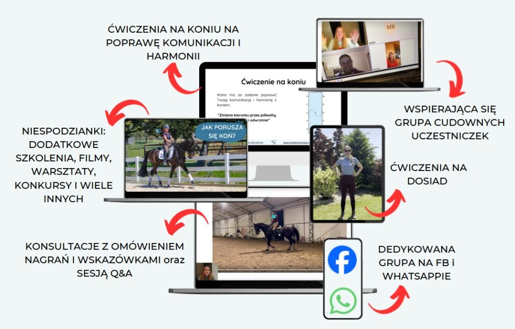 Jeździecki kurs online jeździecki program online