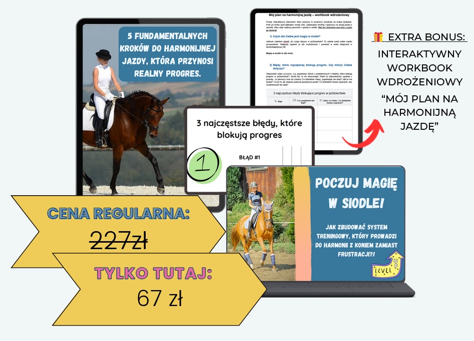 Jak uzyskać harmonię podczas jazdy? Szkolenie "Rusz z kopyta i poczuj magię w siodle"