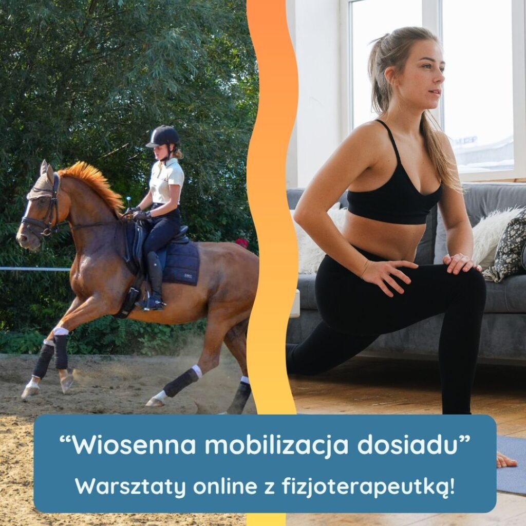 Jak poprawić dosiad i jak możesz przyspieszyć swoje postępy w jeździectwie?