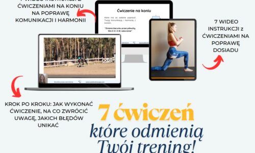 miniaturka kursu